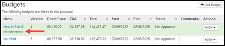 Budgets for a proposal highlighting for submission