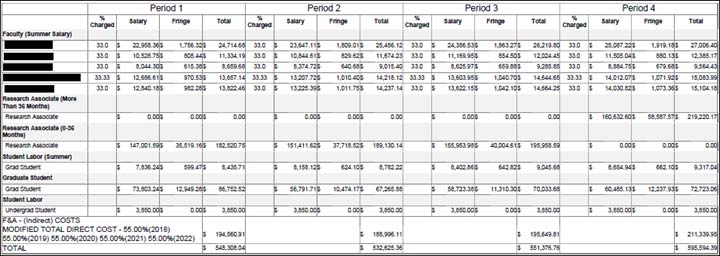 Example of new Budget Salary Report