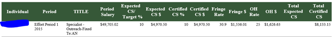 Example Report of Effort Report Summary